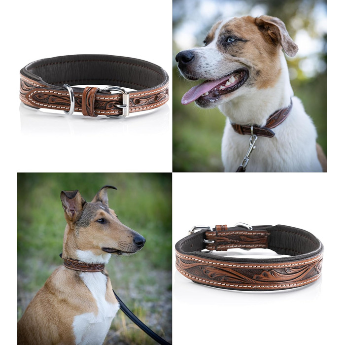 Нашийник для собак Джек Рассел з натуральної шкіри буйвола, ручної роботи, Talia (XL, 46-58 см)