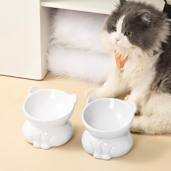 Миска для кота з кераміки, піднята, протиковзна, 15° нахил, для корму та води, підходить для котів та кошенят (біла)
