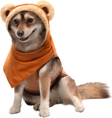 Худі-костюм 