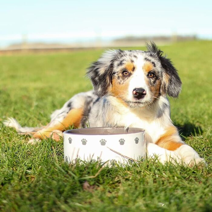 Керамічна миска для собак Nobby PATA кремового кольору, 18x7 см, 1.1 л