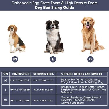 Ортопедичне ліжко для собак середніх порід, вологостійке, з ультрам'якою піною, знімний, пральний чохол та антиковзаюча підкладка, білий та сірий, розмір Medium (31.4'L x 23.6'W x 3.1'Th)