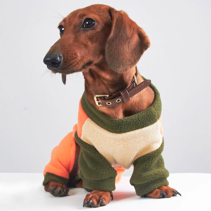 Теплий зимовий комбінезон для джек-расселів та інших порід собак, тепла куртка-комбінезон, оранжевий, 2XL