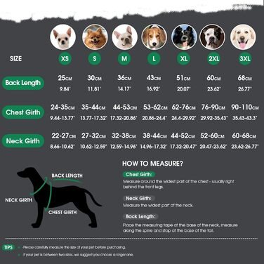 Зимовий теплий дощовик для собак XS, флісова куртка, дощовик для собак, 2 в 1, водонепроникний, вітрозахисний, з отвором для повідка, зелений
