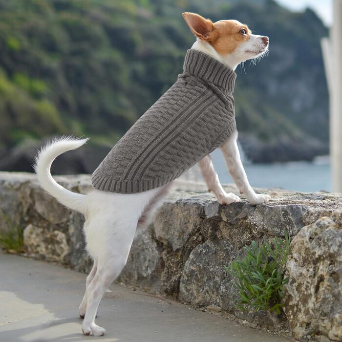 Светр для собак CITE TOILE – теплий флісовий светр з коміром-стійкою для малих та середніх собак | М'який, дихаючий | Ідеальний для холодної погоди | (M, Сірий)