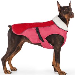 колір: ню орандж