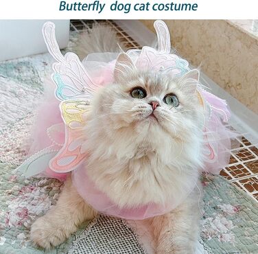 Костюм для собак 