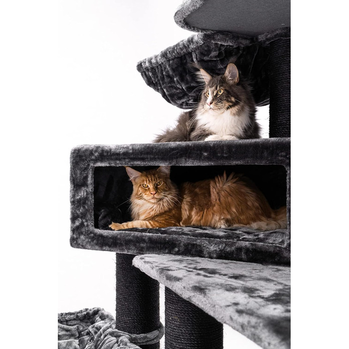 Дряпка для котів Petrebels Maine Coon XXL Alley 200 см, преміум, для великих котів, чорна