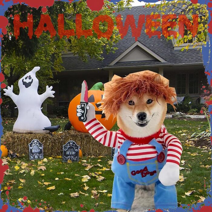Костюм для собак на Хелловін з курткою та штучним баром, дихаючий, регульований, для свят, вечірок (S)