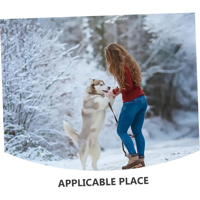 Водонепроникний дощовик для собак BESPORTBLE, XXL - надійний захист від дощу та осінньої негоди