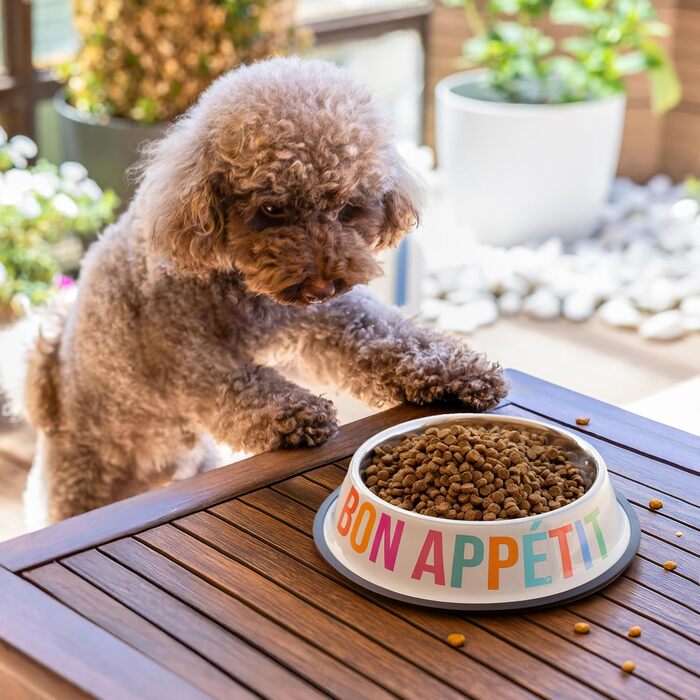 Миски для собак Fisura Dog Bar з нержавіючої сталі, рожеві та червоні, 500 мл + 1000 мл, набір для собак