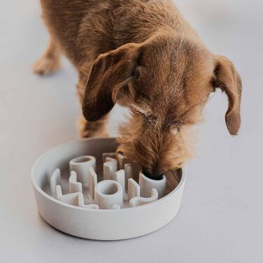 Місцевий повільний годівник для собак з бамбука District 70 - діаметр 28 см