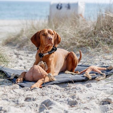 Килимок для собак TRIXIE Nordic Föhr 70x55 см, чорний - зручне ліжко для собак середніх та маленьких порід, міцний матеріал, можна прати