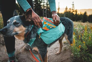Ruffwear Quencher: Портативний складний миска для води для собак, Ruffwear, Spring Mountains M