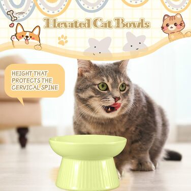 Підвищені миски для котів Layhit з кераміки, проти блювоти, повільне годування, для сухого та вологого корму, кошенята, 2 шт. (зелений, рожевий)