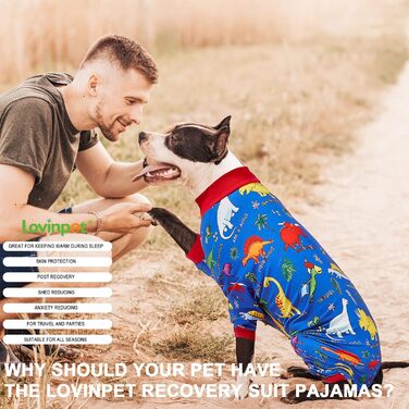 LovinPet Одяг для великих собак Пітбуль 3XL, післяопераційний комбінезон для собак, захист від УФ, антистрес, динозавровий принт