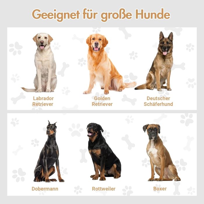 Підвищений годівниця для собак великих порід, білий футерний шафчик з 2 нержавіючими мисками, станція для годування собак з місцем для зберігання та 3 ручками, годівниця для собак на підставці, бар для собак середніх порід, 60x30x41 см