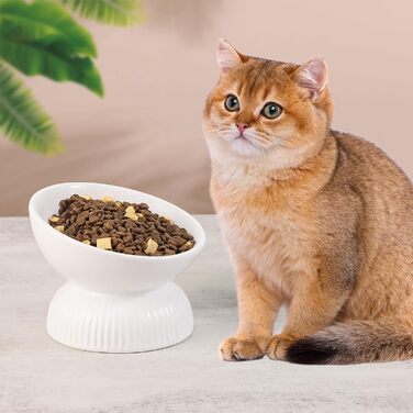 Підвищена годівниця для котів з кераміки - нахилена миска проти блювоти для котів - 280 мл, діаметр 15,5 см, біла