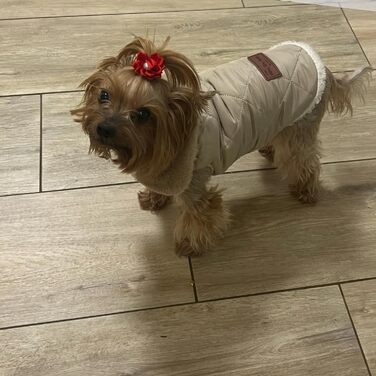 Зимовий одяг для собак: теплий водонепроникний зимовий одяг для собак з флісу, жилет для собак та котів (XXL, бежевий)