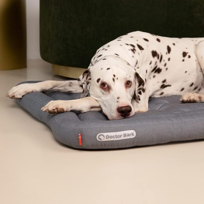 Ортопедична подушка для собак Doctor Bark, 60x55 см, сіра, 95°C, міцна та зручна