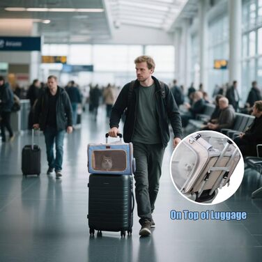 Транспортувальна сумка для котів, собак, кроликів, цуценят. Розмір L, рожева/блакитна. Дозволена авіаперевезеннями.