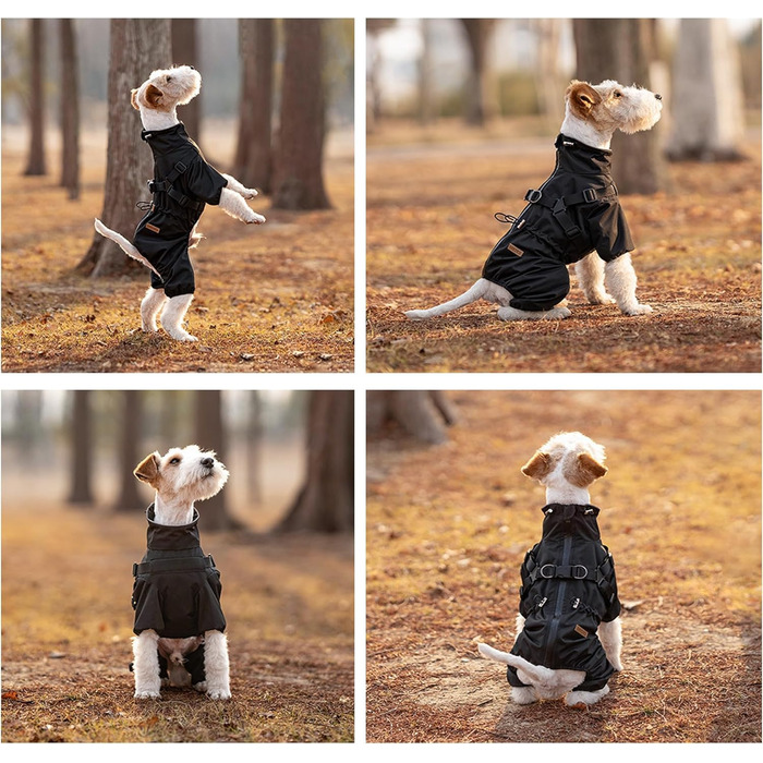 Водонепроникний комплект для собак BT Bear: жилет, дощовик, жилетка, XL, чорний