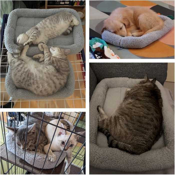 Крісло-лежанка для котів та собак PETLESO - м'яке, з антиковзною основою, 56x41 см