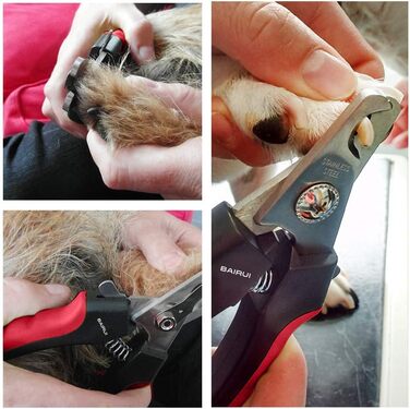 Професійний кусачки для нігтів собак та котів BAIRUI з пилочкою (червоний)