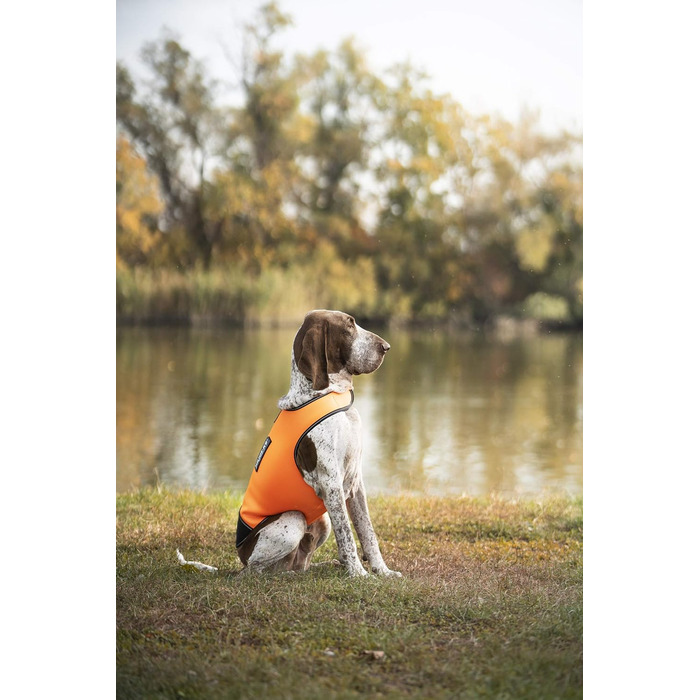 Одяг для собак Julius-K9 IDC Neopren, XL, чорний та UV-оранжевий