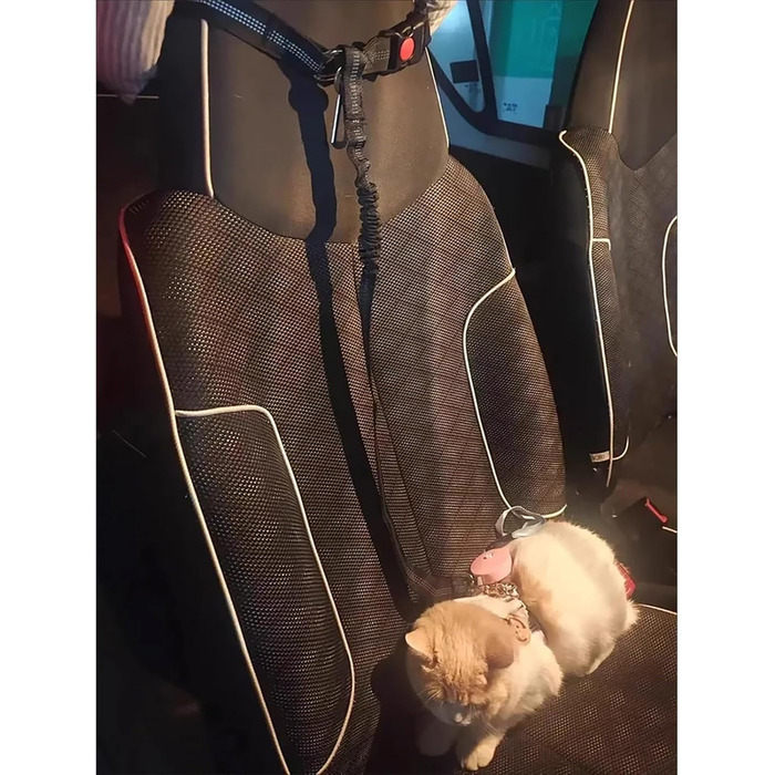 Авторемні безпеки для собак, 2 шт., регульовані, автокрісло для тварин, котів та собак (Чорний, 1 упаковка)