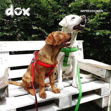 Регульована шлейка для собак і котів DDOXX Air Mesh, м'яка, червона, розмір M – прогулянкова амуніція для малих, середніх і великих порід