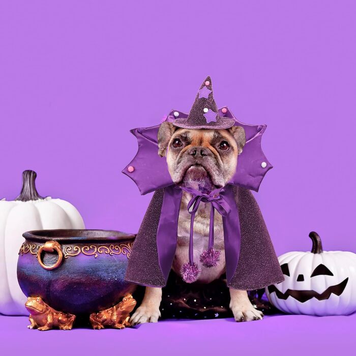 Костюм чарівника для собак ADOGGYGO, карнавальний костюм для собак середнього розміру, віолетовий (M)