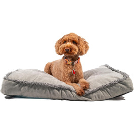 Крісло-ліжко для собак Маленьке, ультрам'яке, плюшеве, тепле. Зручна та затишна лежанка для домашніх тварин. Легка у догляді, знімний чохол, сірий колір (71 x 48 x 8 см)