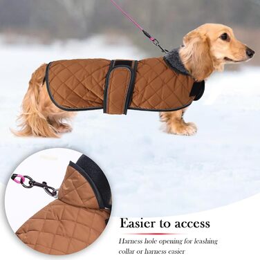 Зимовий теплий одяг для такс (дрібних та середніх) - куртка з плюшем, регульованим поясом та отвором для повірця, колір зелений, розмір L, колір коричневий