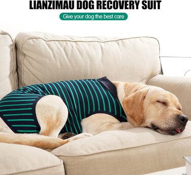 Комбінезон для собак, дихаючий, для захисту післяопераційних ран, альтернатива конусу, без шнура, післяопераційний (XXL, 1 шт., зелений)