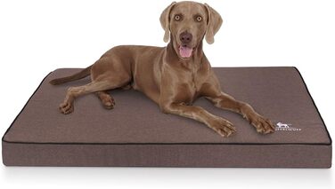 Ортопедичний лежак для собак Knuffelwuff Nantucket з велюру, ручної роботи, 80 x 60 см, коричневий. Знімний, пральний чохол. Підходить для великих, середніх та маленьких собак. Розміри: 80 x 60 x 10 см