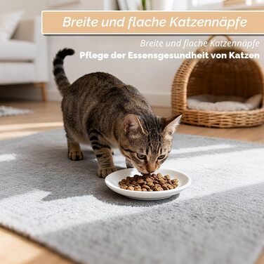 Миски для котів керамічні 6 шт, діаметр 15 см, для котів та кошенят (без силіконової основи)