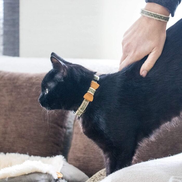 Pettsie нашийник для котів із безпечним замком та дерев'яною метеликом, комплект з браслетом для господаря, міцна бавовна, регулювання 20,3-28 см, чорний