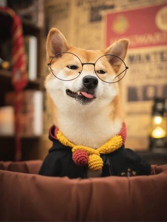 Костюм для собак та котів з окулярами та краваткою, Cosplay, розмір M (Грифіндор)