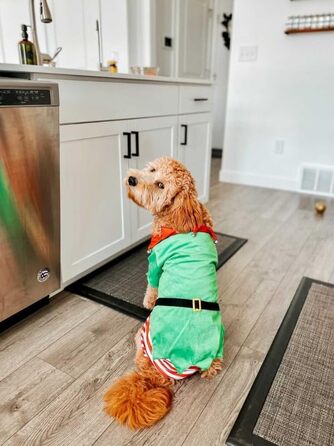 Костюм собаки та ельфа Midlee, розмір L (Large)