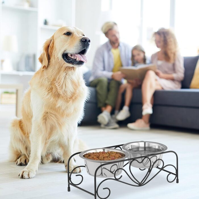 Набір мисок для собак Relaxdays з підставкою: 2 миски з нержавіючої сталі, 800 мл (чорний/сріблястий)