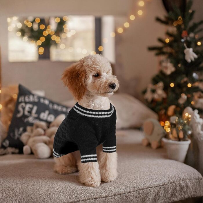 Вовняний пуловер для собак LiebeDD з V-подібним вирізом, чорного кольору, для дрібних та середніх порід, ідеально підходить для такс та грейхаундів (M)