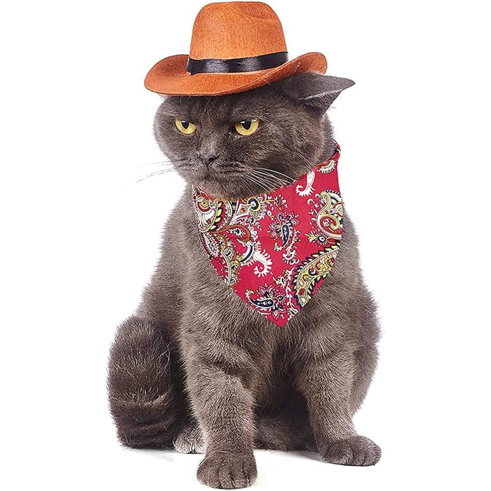 Костюм ковбоя для котів та собак (Small) - комплект з 2 частин: капелюх та бандана