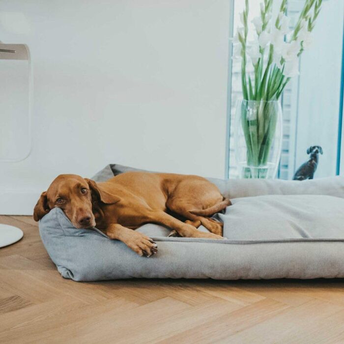 Нашийник для собак Hunter Eiby, сірий, технологія Easy Clean, легкий у догляді (S)