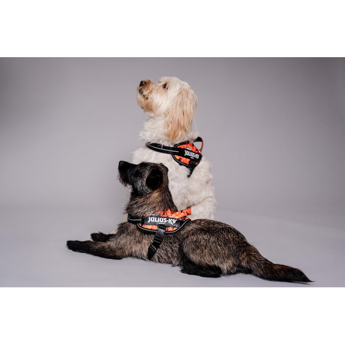 Шлейка Julius-K9 Power&More, розмір XS, Pixeljuice XS
