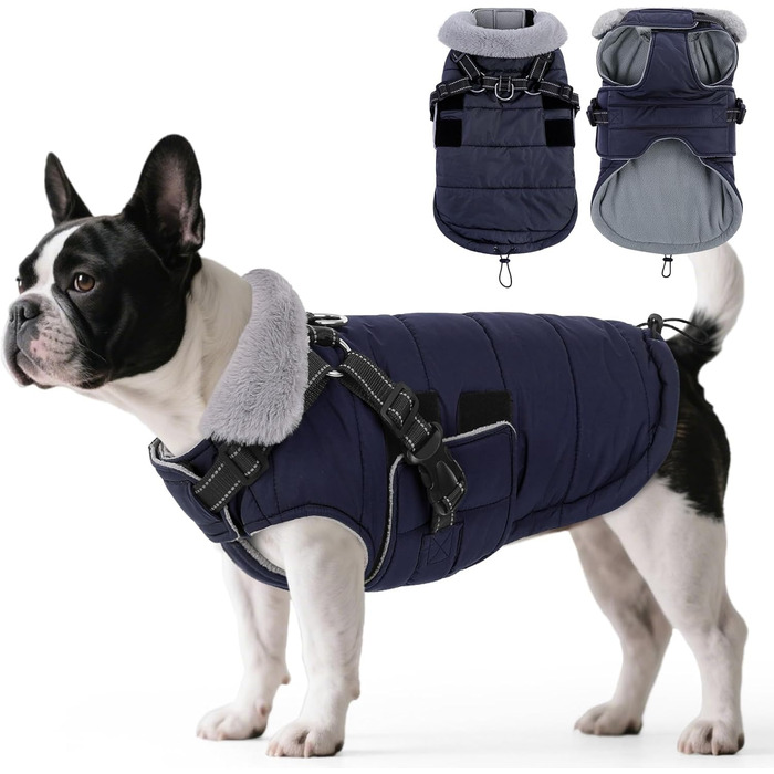 Зимовий одяг для собак ASENKU: теплий, водонепроникний, вітрозахисний, з світловідбиваючими елементами. Підходить для малих, середніх та великих собак. Кольори: зелений (S), синій (S).