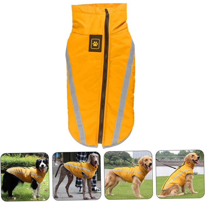 Теплий зимовий одяг для собак: куртка, плащ для прогулянок та відпочинку | iBasenice