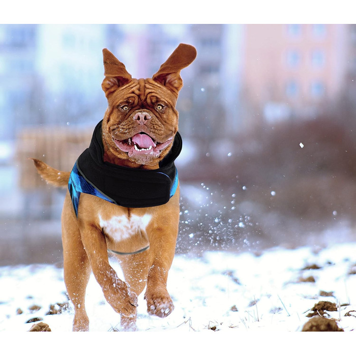 Теплий зимовий одяг для собак, куртка для собак з захистом живота, зимова куртка для собак зі світловідбиваючими елементами, двостороння куртка для собак, одяг для собак з отвором для шлейки, блакитна, розмір S