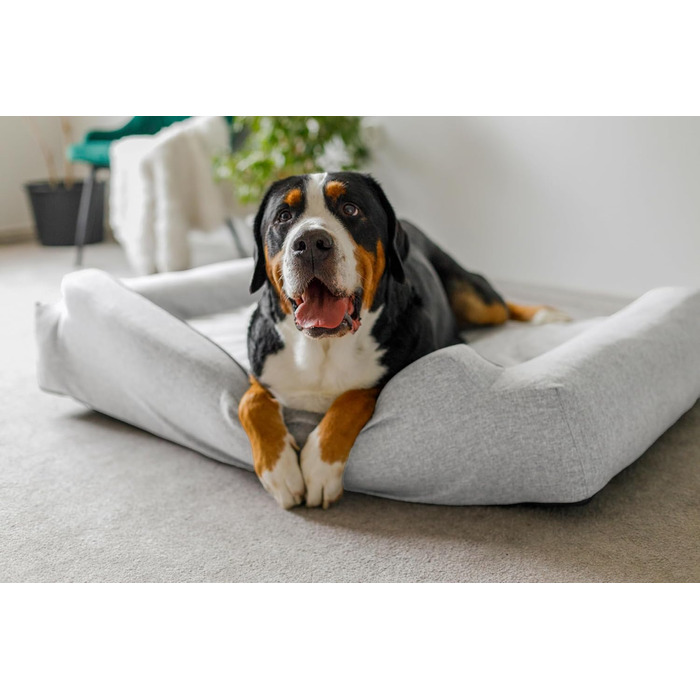 Крісло-ліжко для собак великих, середніх та маленьких порід - Glamour New, L: 98x66 см, знімний чохол