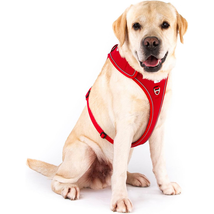 Шлейка для собак Belka, регульована, чорна, XL