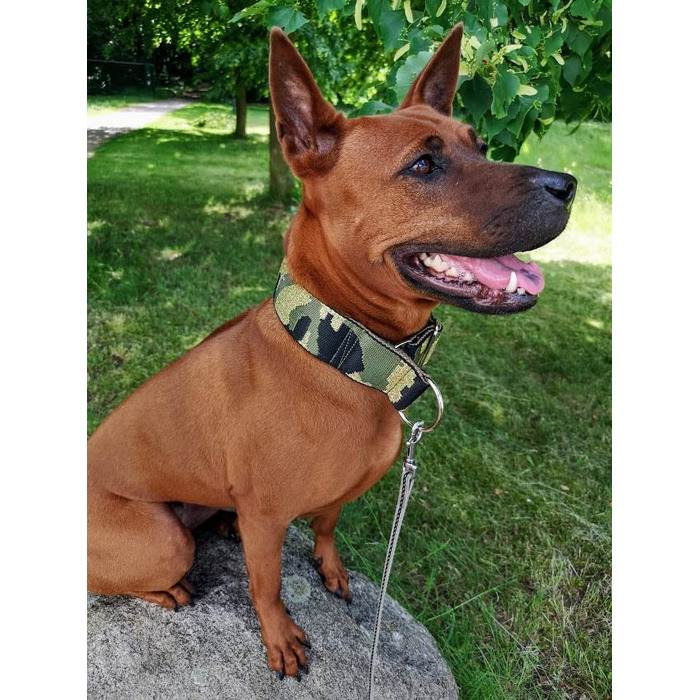 Камуфляжний нашийник для собак, широка стрічка 4 см, м'яка підкладка, військовий стиль, зручна застібка-клік, регульований, оливково-золотий-чорний (до 48 см)